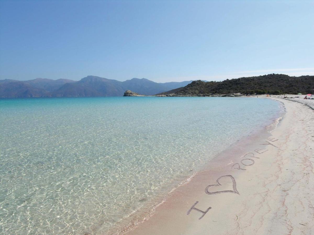 Villa L'Alba Bastia By Location-Tourisme-Corse Exterior foto